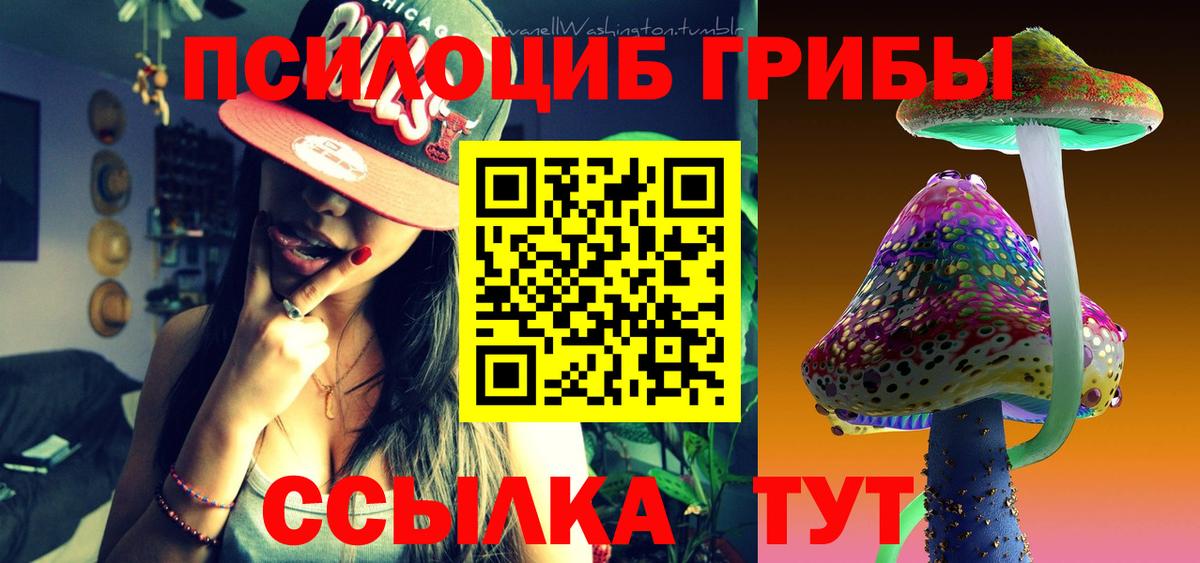 Галлюциногенные грибы Psilocybe Кимры
