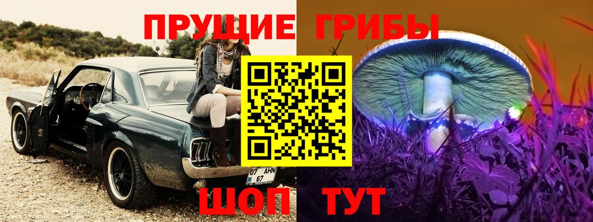 Кимры  Галлюциногенные грибы мухоморы  Псилоцибиновые грибы мухоморы  закладки  Вход с VPN 
